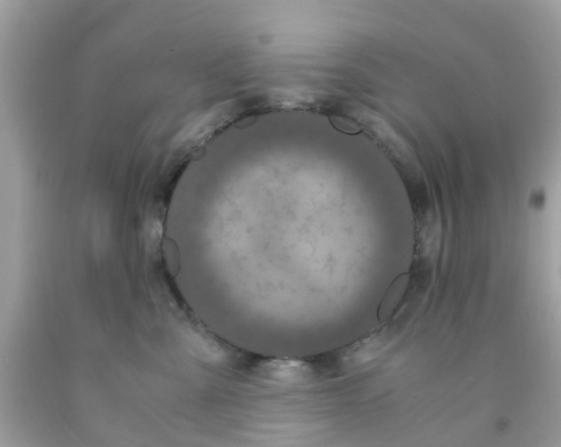 X0000091080427200709041245