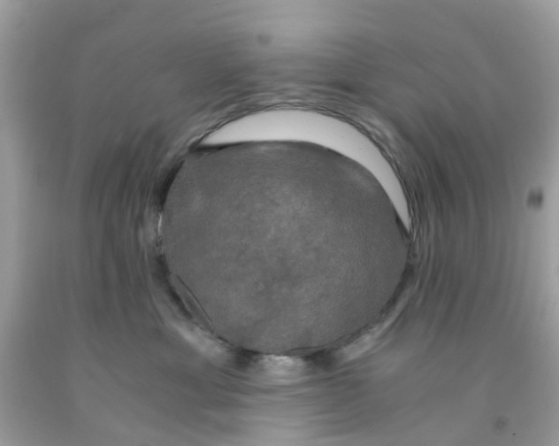 X0000091080429200709041245