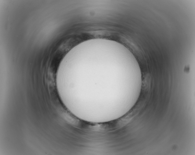 X0000091080430200709041245