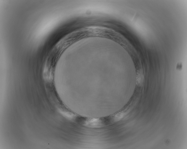 X0000091080431200709041245