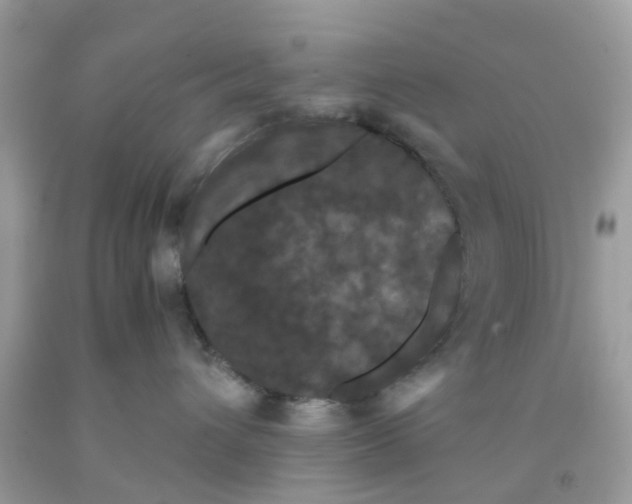 X0000091080432200709041245