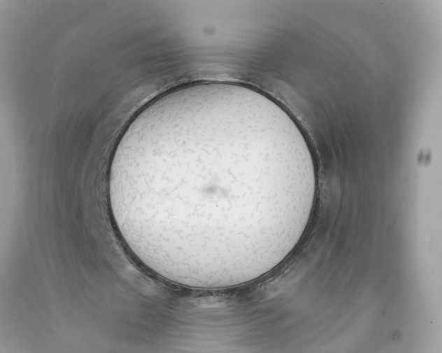 X0000091080433200709041244