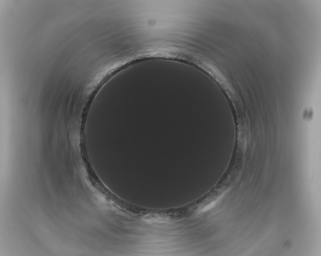 X0000091080434200709041244