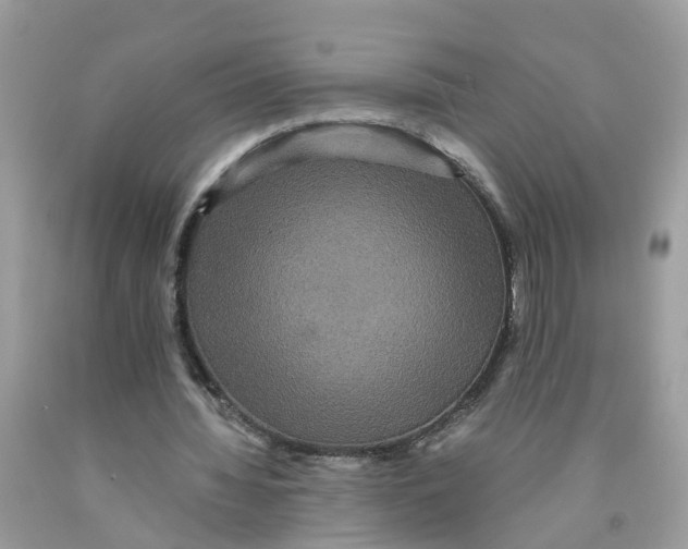 X0000091080436200709041244