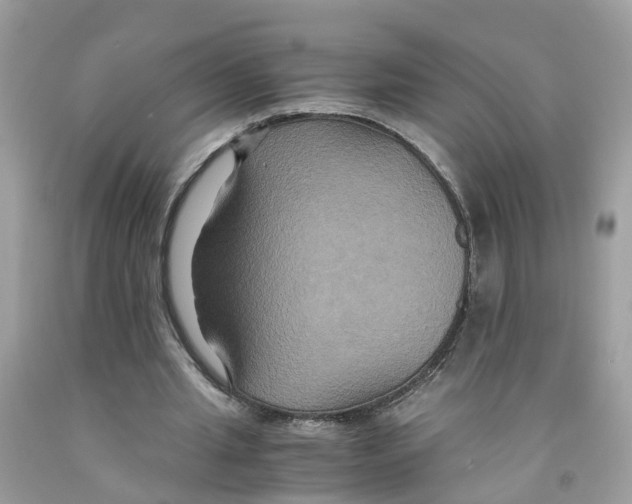 X0000091080437200709041244