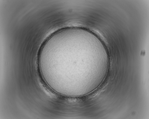 X0000091080439200709041244