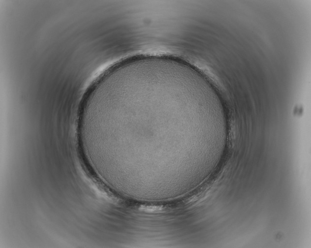 X0000091080440200709041244