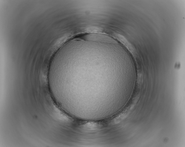 X0000091080441200709041244