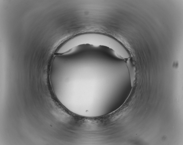 X0000091080442200709041244