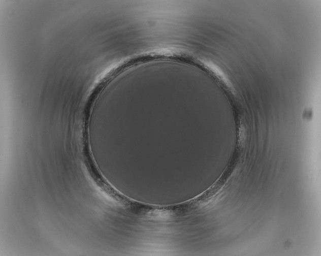 X0000091080444200709041244