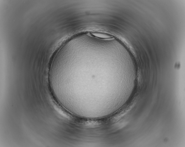 X0000091080445200709041244