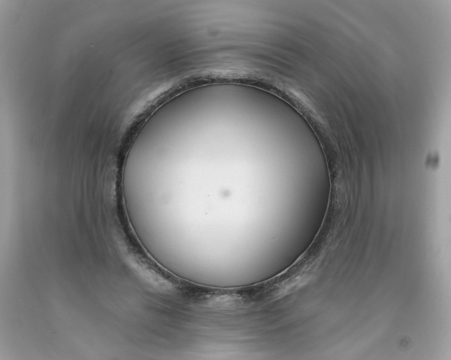 X0000091080446200709041244