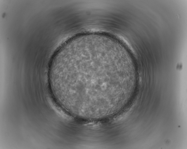 X0000091080447200709041244