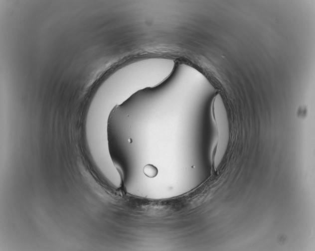 X0000091080448200709041244