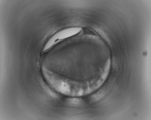 X0000091080449200709041244