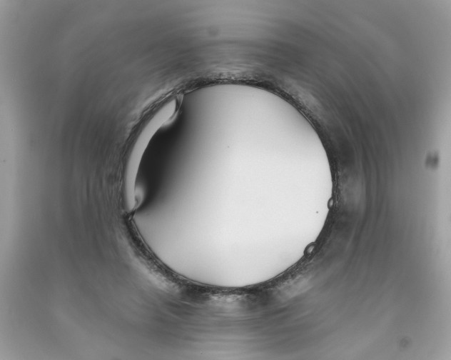 X0000091080450200709041244