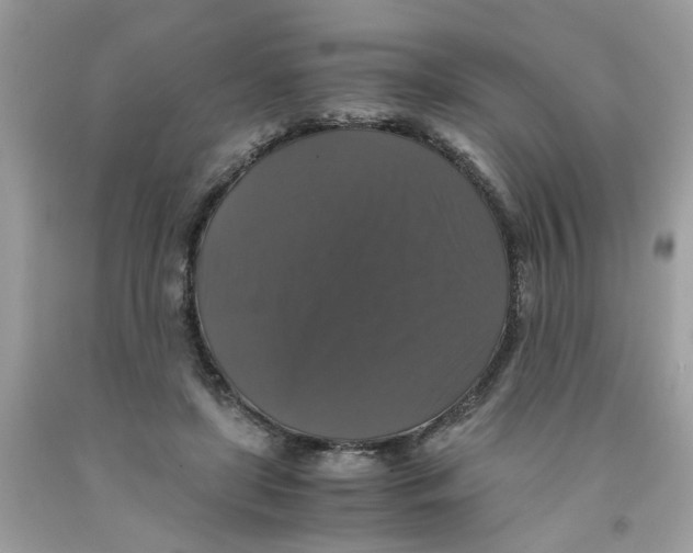 X0000091080451200709041244