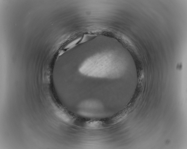 X0000091080452200709041244