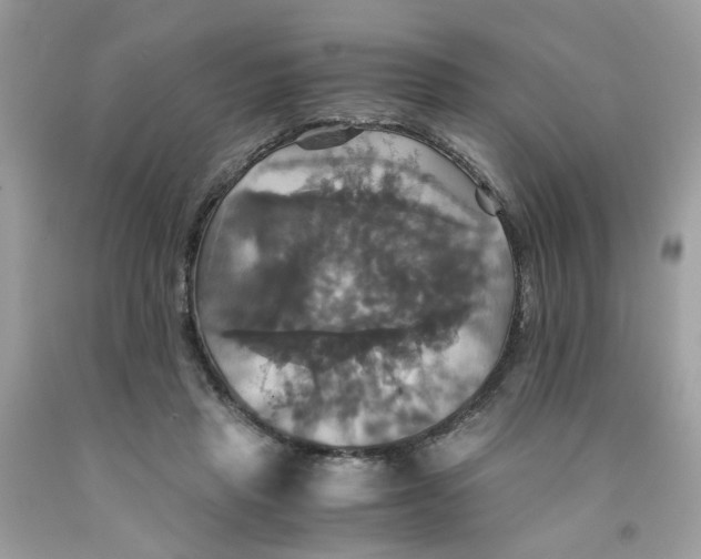 X0000091080453200709041244