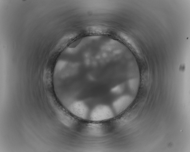 X0000091080457200709041244