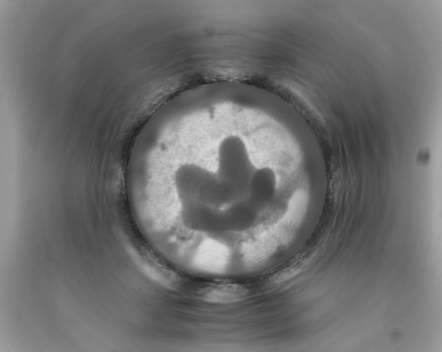 X0000091080459200709041244