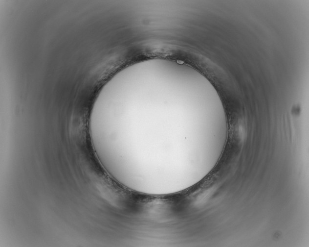 X0000091080460200709041244