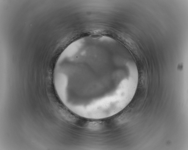 X0000091080461200709041244