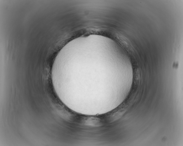 X0000091080463200709041244