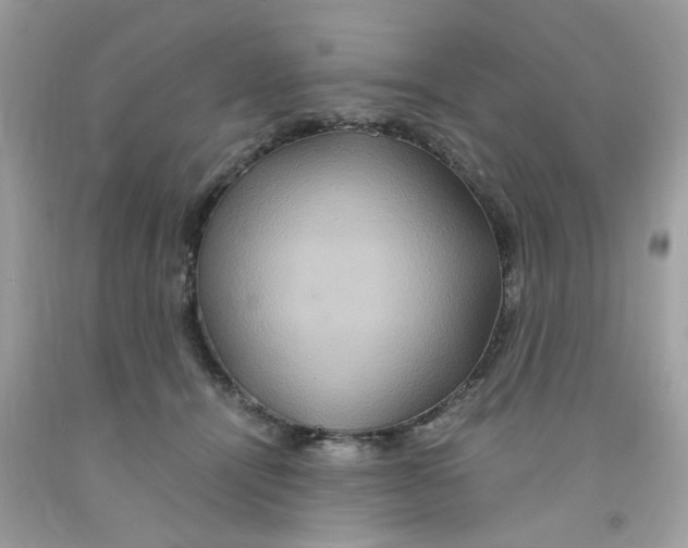 X0000091080464200709041244