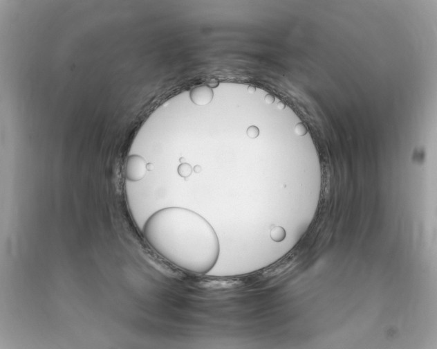 X0000091080465200709041244