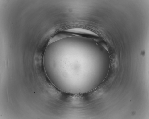 X0000091080466200709041244