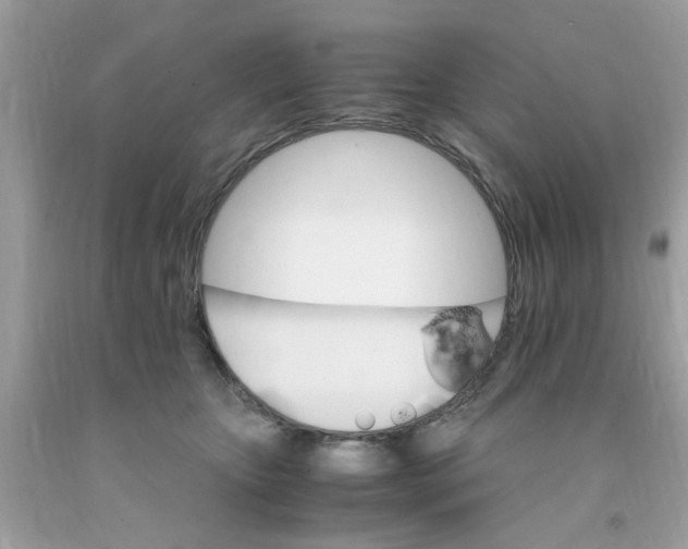 X0000091080467200709041244