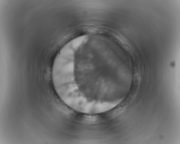 X0000091080469200709041244