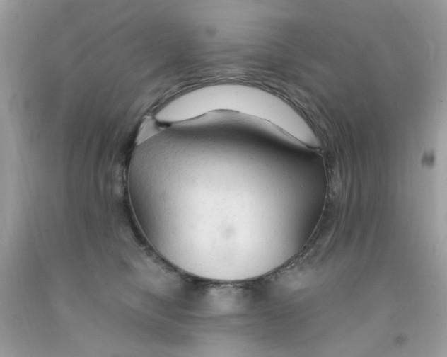 X0000091080470200709041244