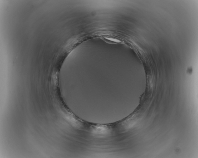 X0000091080475200709041244