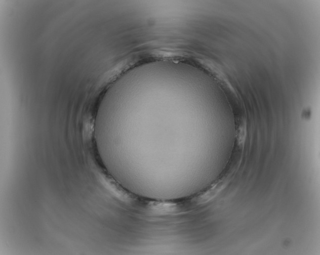 X0000091080476200709041245