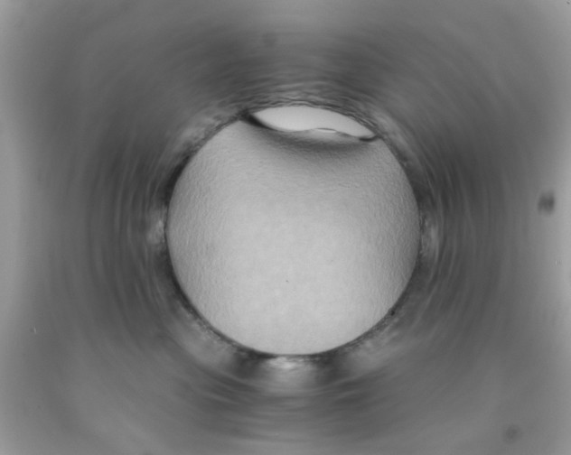 X0000091080477200709041245