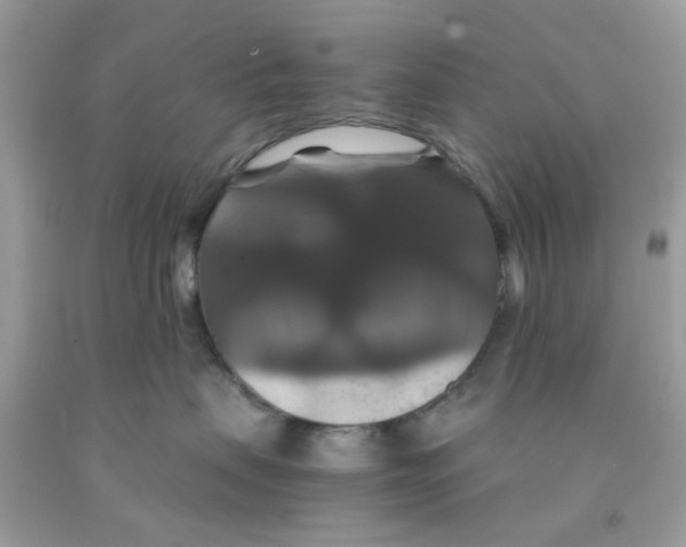 X0000091080479200709041245