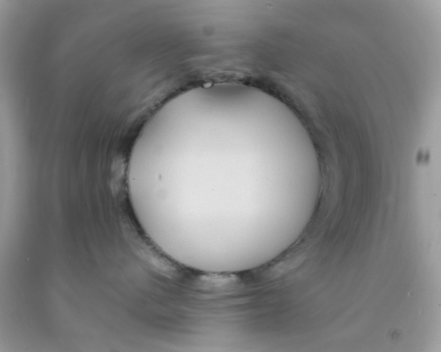 X0000091080480200709041245