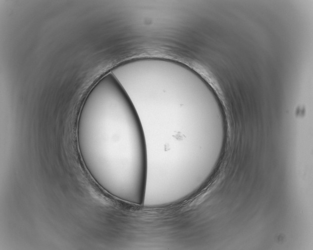 X0000091080481200709041244