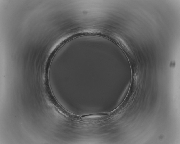 X0000091080484200709041244