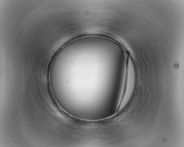 X0000091080485200709041244