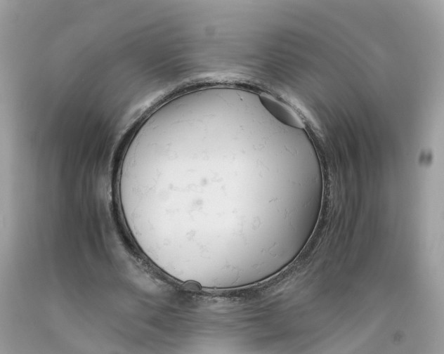 X0000091080486200709041244