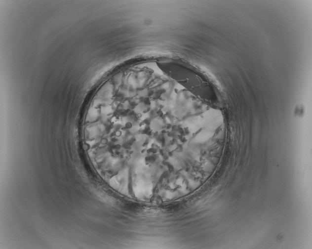 X0000091080487200709041244