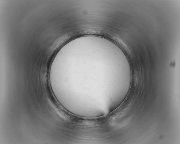 X0000091080490200709041244