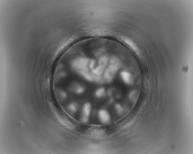 X0000091080491200709041244