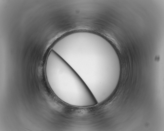 X0000091080492200709041244