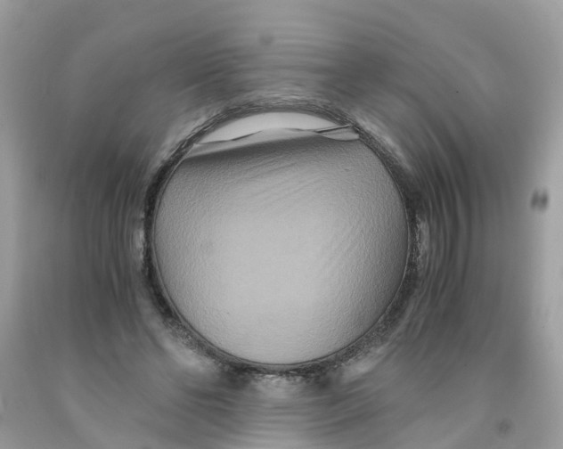 X0000091080494200709041244