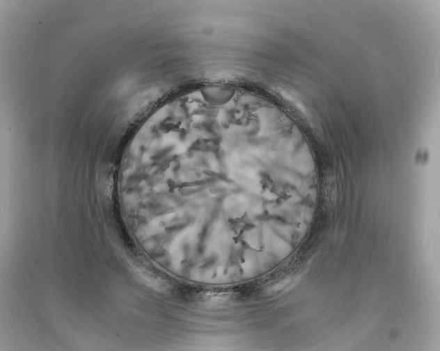 X0000091080495200709041244