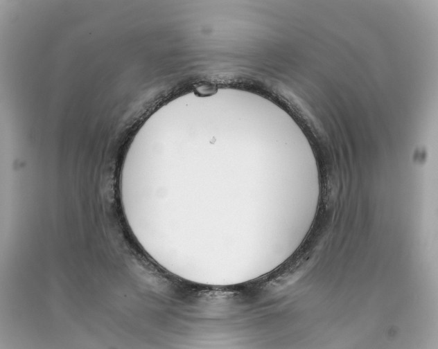 X0000091080497200709041244